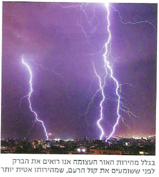 (בספר תמונה:) צילום אל תוך הבית דרך שמשה סגורה: הצמחים בגינה שמאחור משתקפים בחלון הבית.